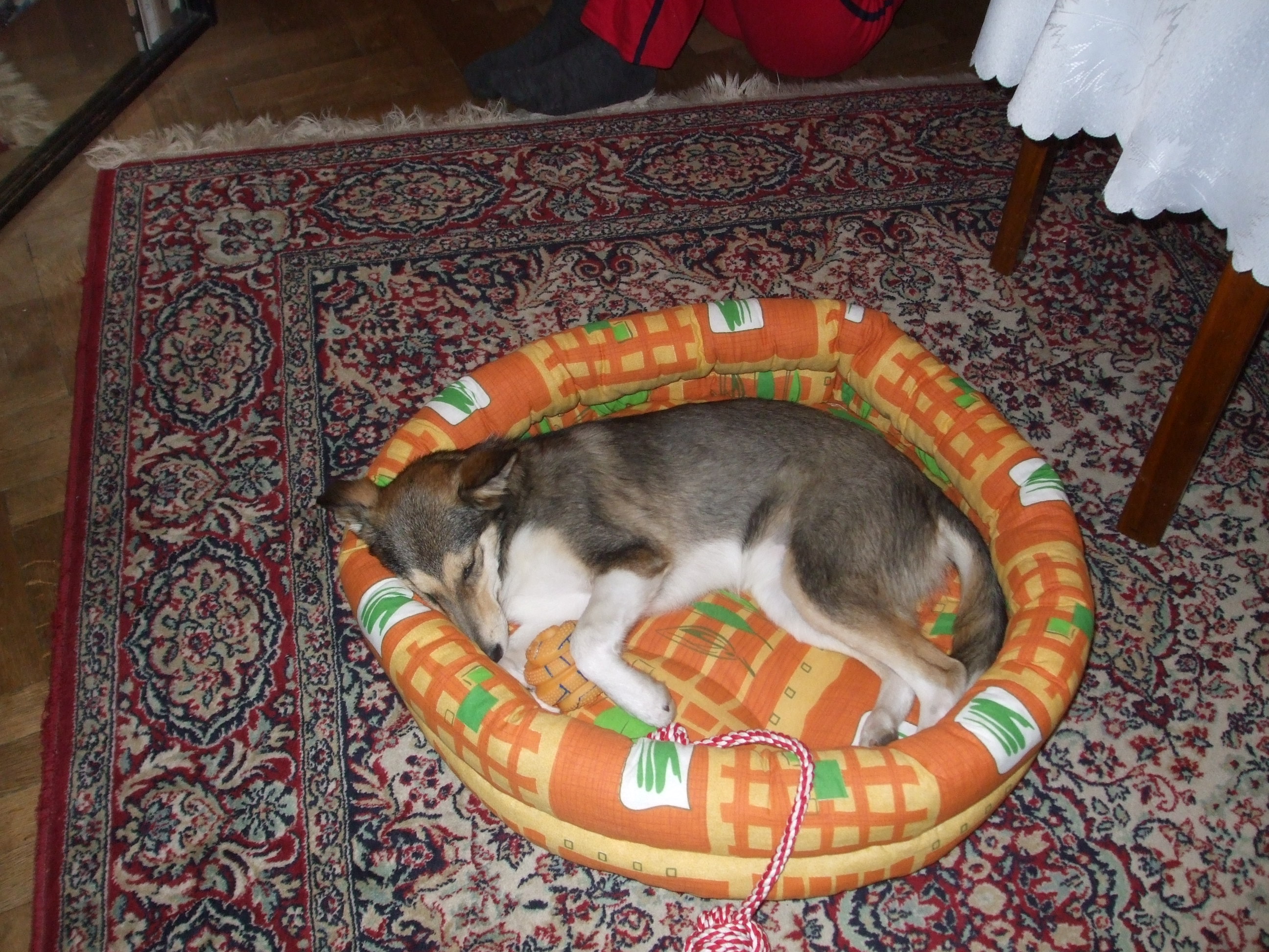 DSCF0538.JPG