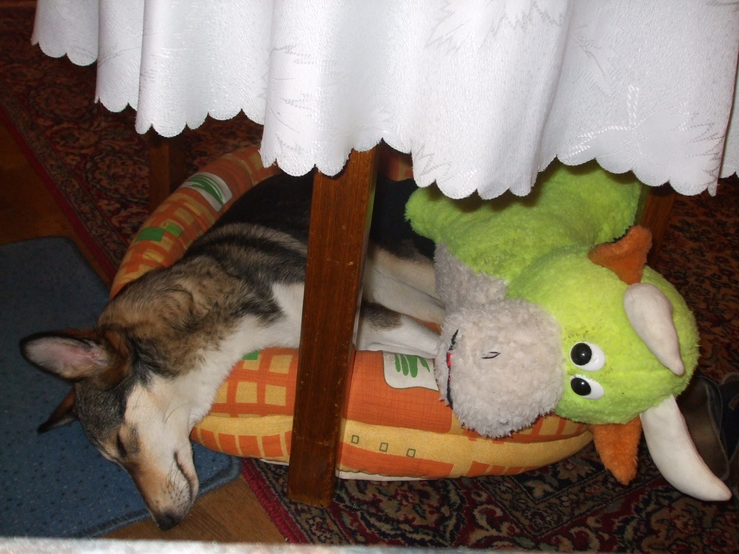 DSCF0050.JPG