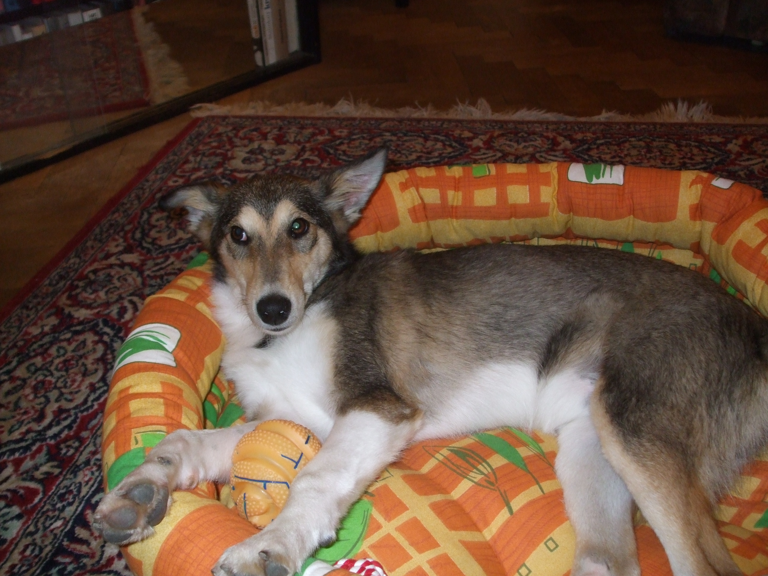 DSCF0542.JPG