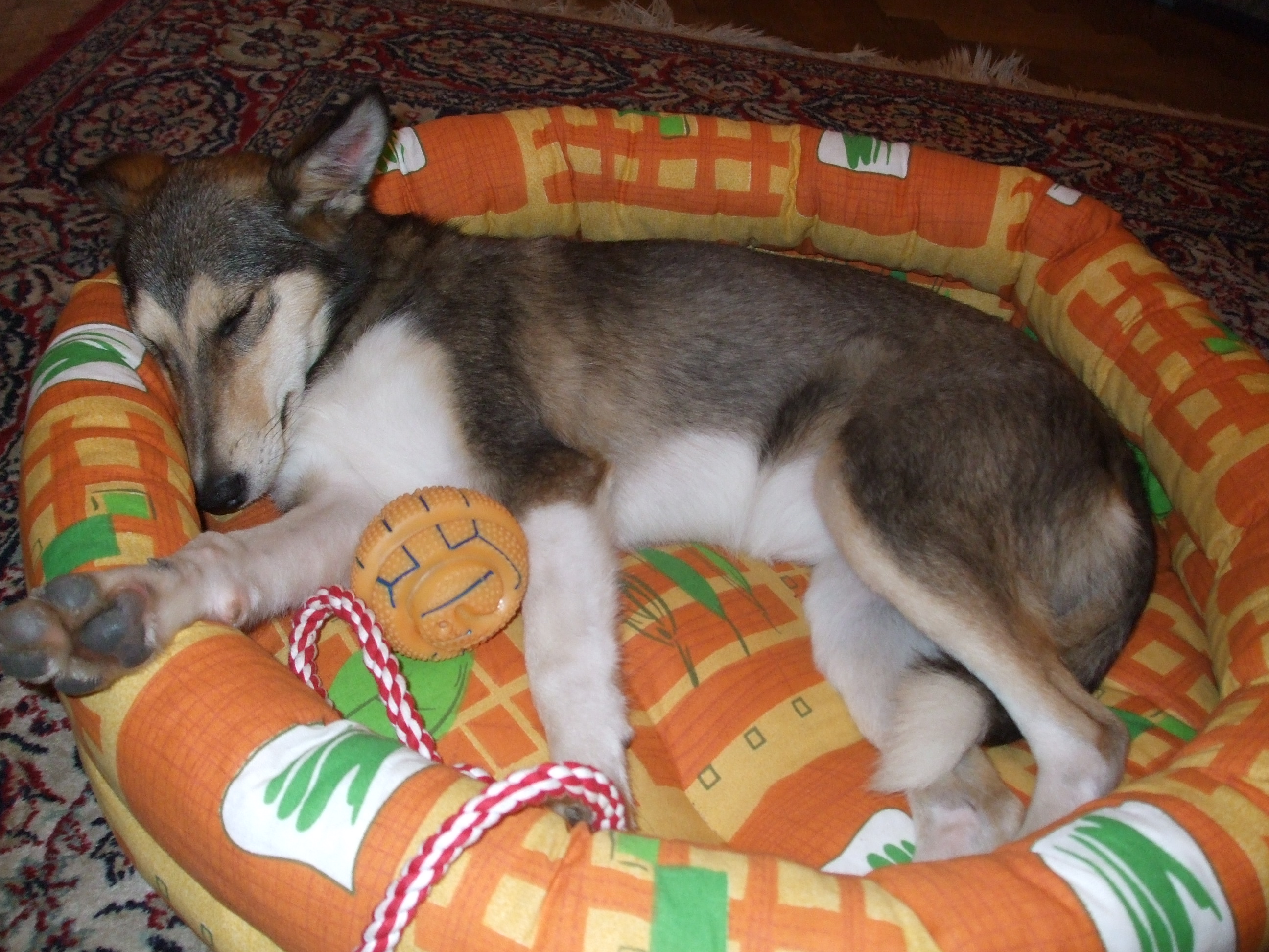 DSCF0543.JPG