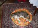 DSCF0538.JPG