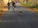 DSCF0030.JPG