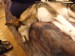 DSCF0045.JPG