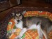 DSCF0542.JPG