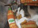 DSCF0021.JPG