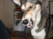 DSCF0184.JPG