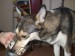 DSCF0185.JPG