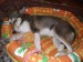 DSCF0543.JPG